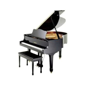 Piyano dersi Bakırköy Müzik Enstitüsü'nde başlamıştır.